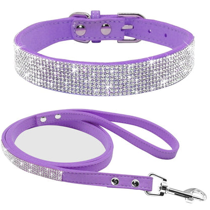 Pet Collar Leash Set