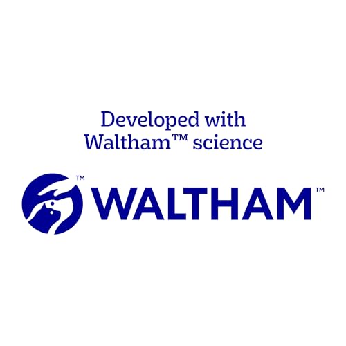 Pedigree Dentastix Large Breed Dog Treats, Original, Beef & Fresh Flavor, 2.73 lb. Variety Pack (51 Treats)