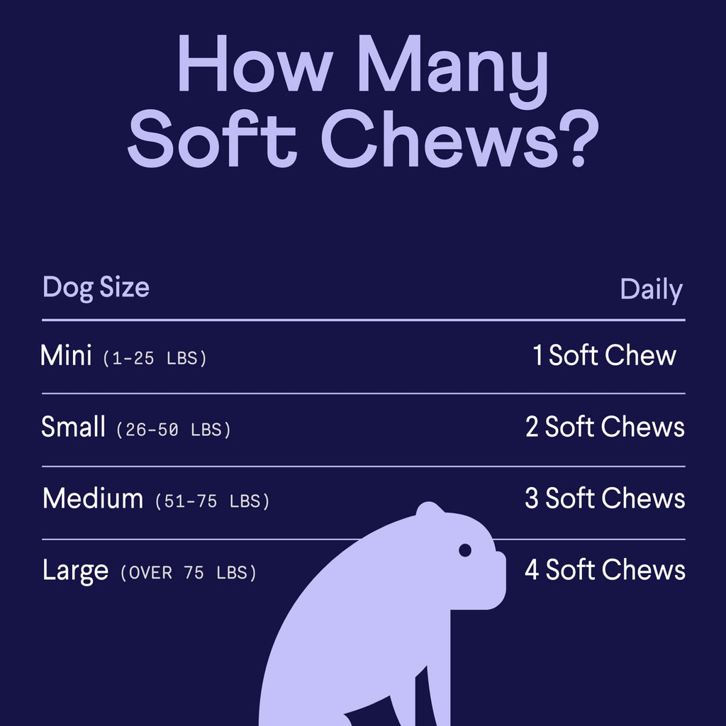 Finn Digestive Probiotics for Dogs - Complete Digestive System Support with Pumpkin, Prebiotics, & Live Probiotics - Vet Recommended & Made in The USA - 90 Soft Chews (Peanut Butter)