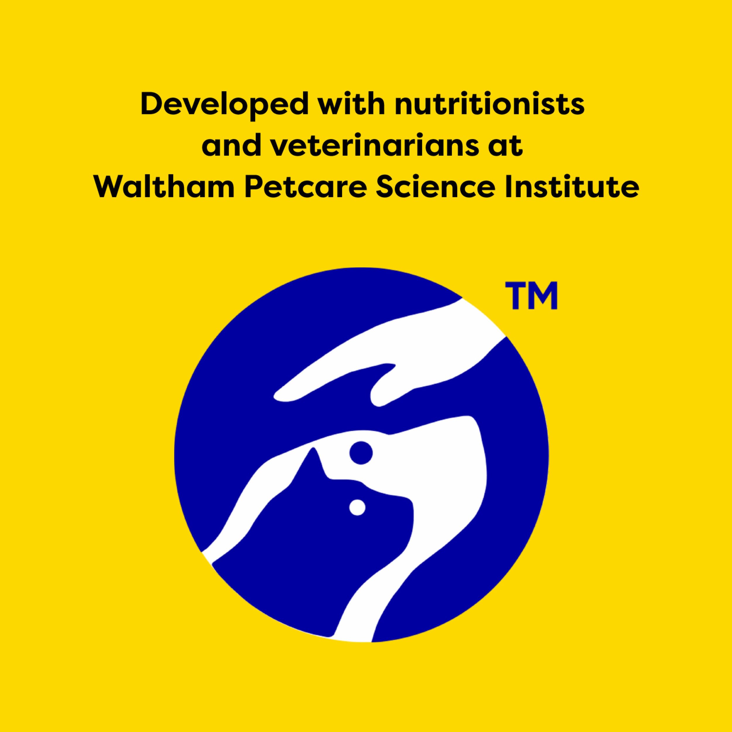 Temptations Classic Crunchy and Soft Cat Treats Tasty Chicken Flavor, 16 oz. Tub