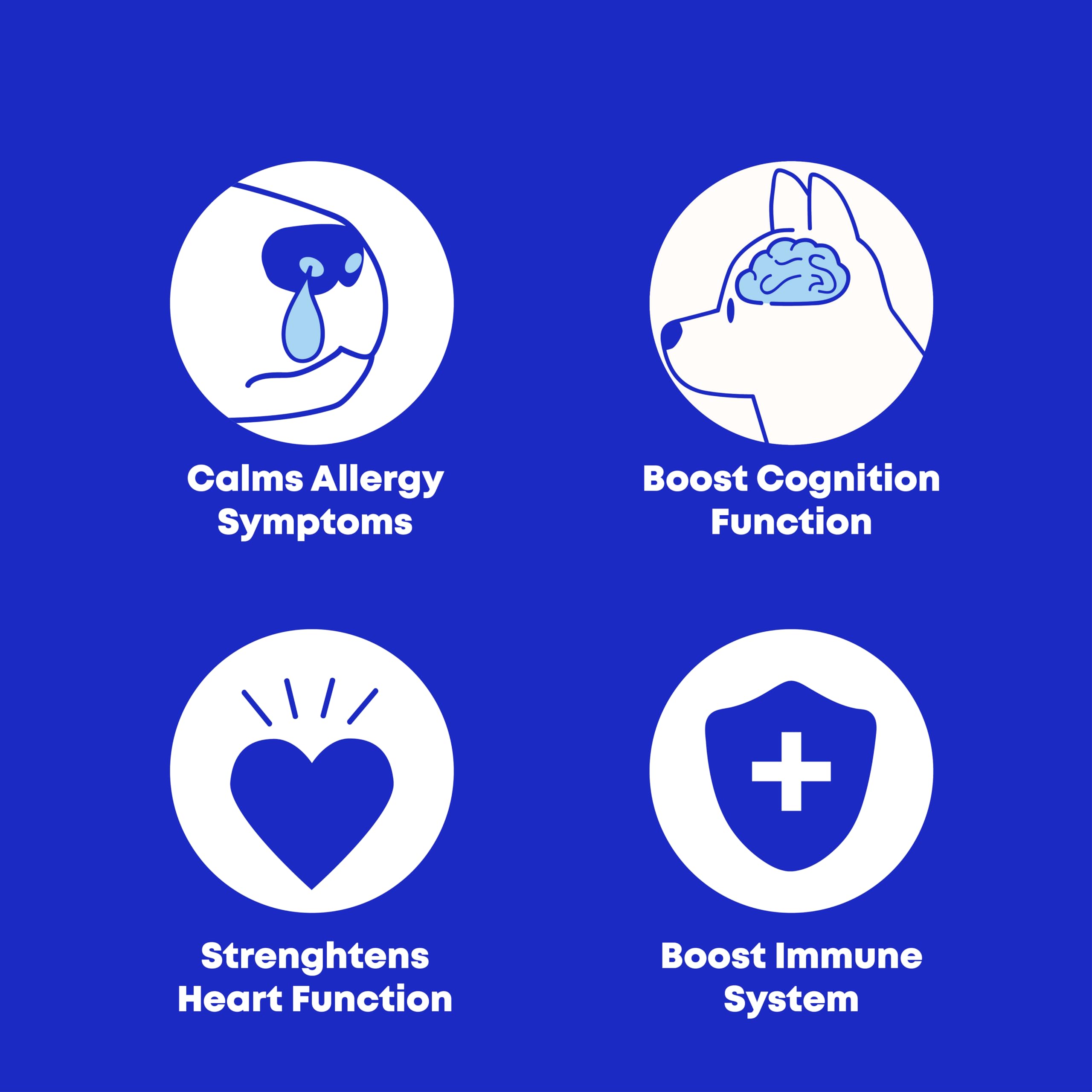 Wild Alaskan Salmon & Pollock Oil for Dogs – Itchy Skin, Shedding, Allergy & Joint Relief – NASC Certified Omega 3s – 16oz Liquid Food Topper – Club Hachiko