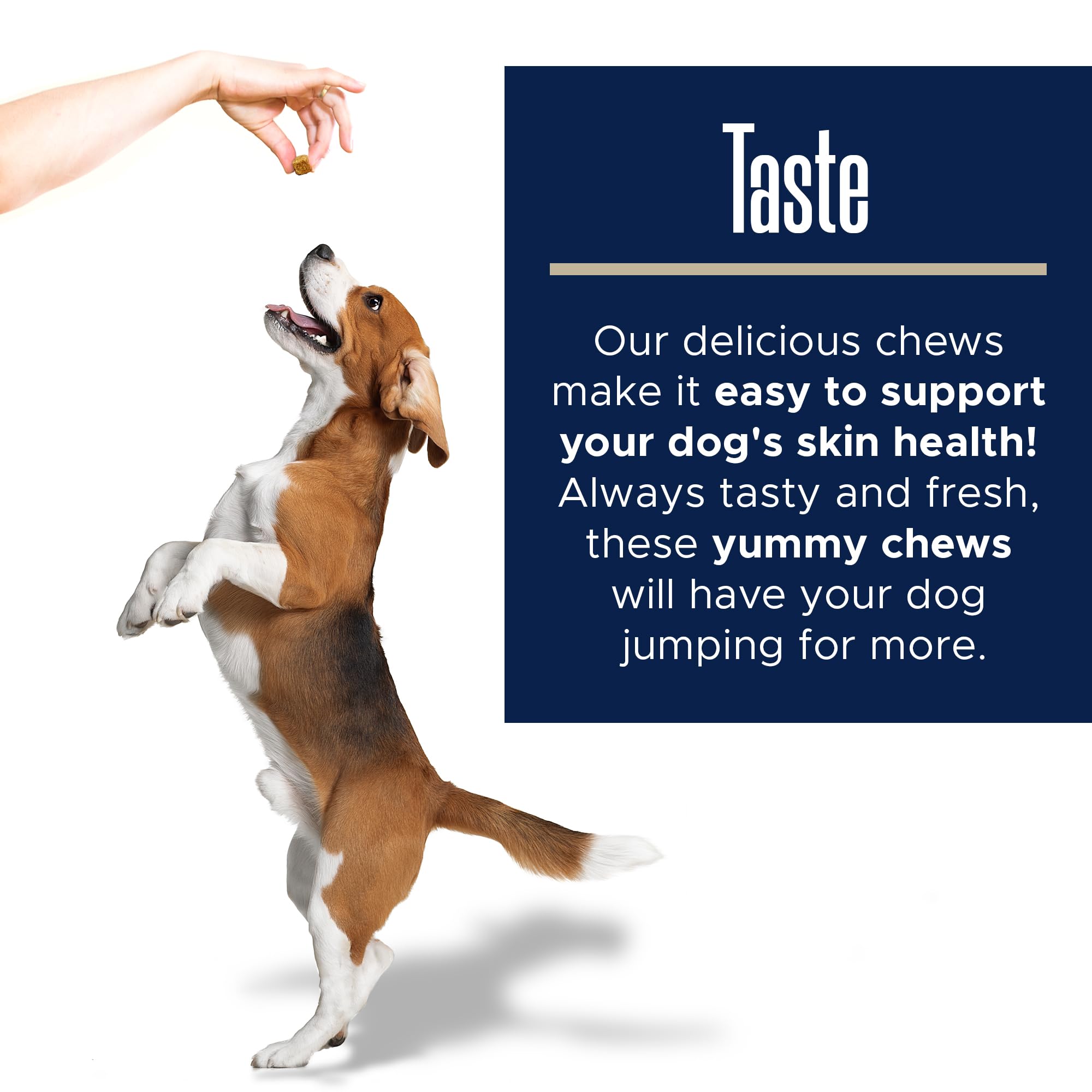 Dog Fish Oil Supplements - 180 Delicious Chew Treats - Omega 3 Rich Salmon Oil, EPA, DHA, Biotin, and Vitamin E for Healthier, Shinier, Skin, Coat and Fur, Helps Skin Allergies