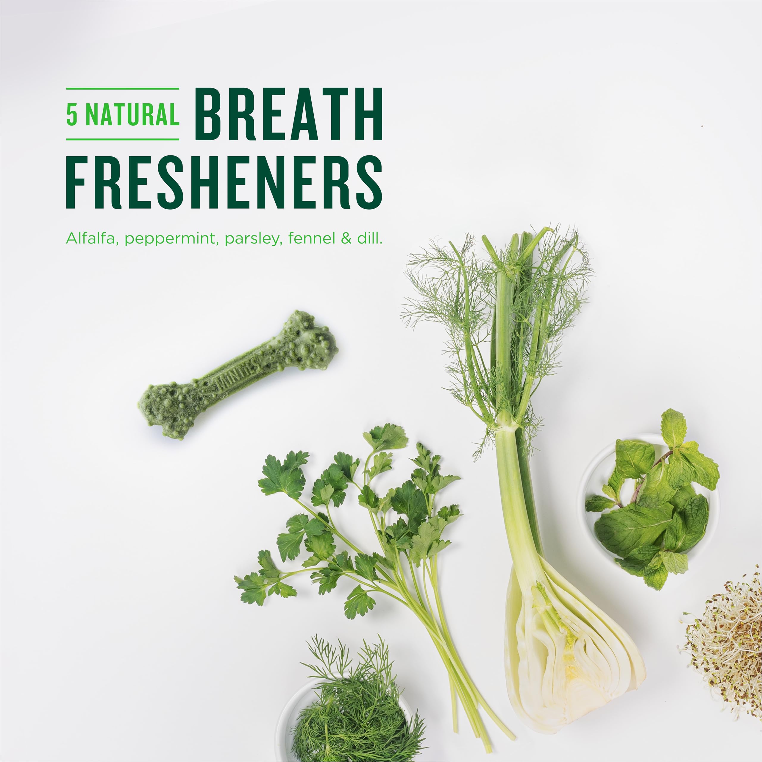 Minties Dental Chews for Dogs, 40 Count, Vet-Recommended Mint-Flavored Treats for Tiny/Small Dogs 5-24 lbs, Dental Bones Clean Teeth, Fight Bad Breath, and Removes Plaque and Tartar