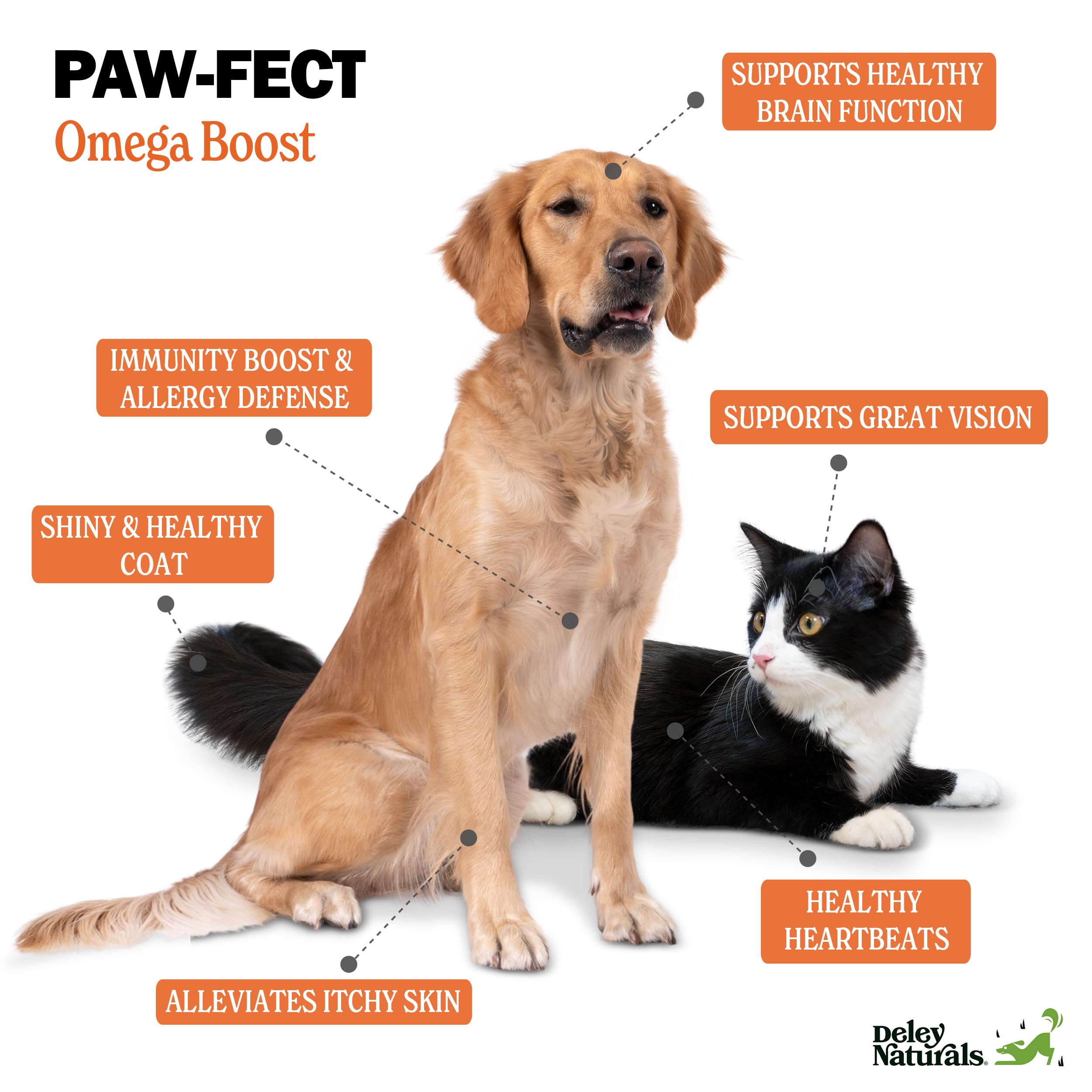 Deley Naturals Wild Alaskan Salmon Oil for Dogs - New & Improved Salmon Oil Plus Formula - Fish Oil for Dogs with DHA EPA Omega 3 & 6 Fatty Acids - Omega 3 Fish Oil for Skin & Coat - 32oz Made in USA