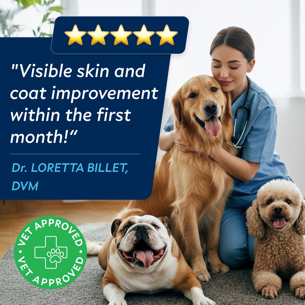 StrellaLab Omega 3 for Dogs - (180Ct) Fish Oil Treats - Allergy & Itch Relief Skin&Coat Supplement - Dry Itchy Skin, Shedding, Hot Spots Treatment, Anti Itch - Pet Salmon Oil Chews - Atlantic Salmon