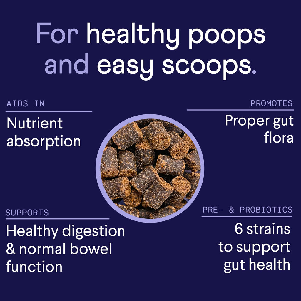 Finn Digestive Probiotics for Dogs - Complete Digestive System Support with Pumpkin, Prebiotics, & Live Probiotics - Vet Recommended & Made in The USA - 90 Soft Chews (Peanut Butter)