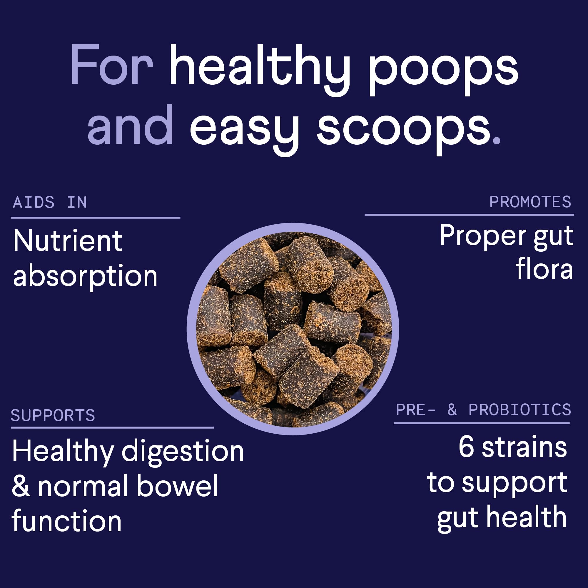 Finn Digestive Probiotics for Dogs - Complete Digestive System Support with Pumpkin, Prebiotics, & Live Probiotics - Vet Recommended & Made in The USA - 90 Soft Chews (Peanut Butter)