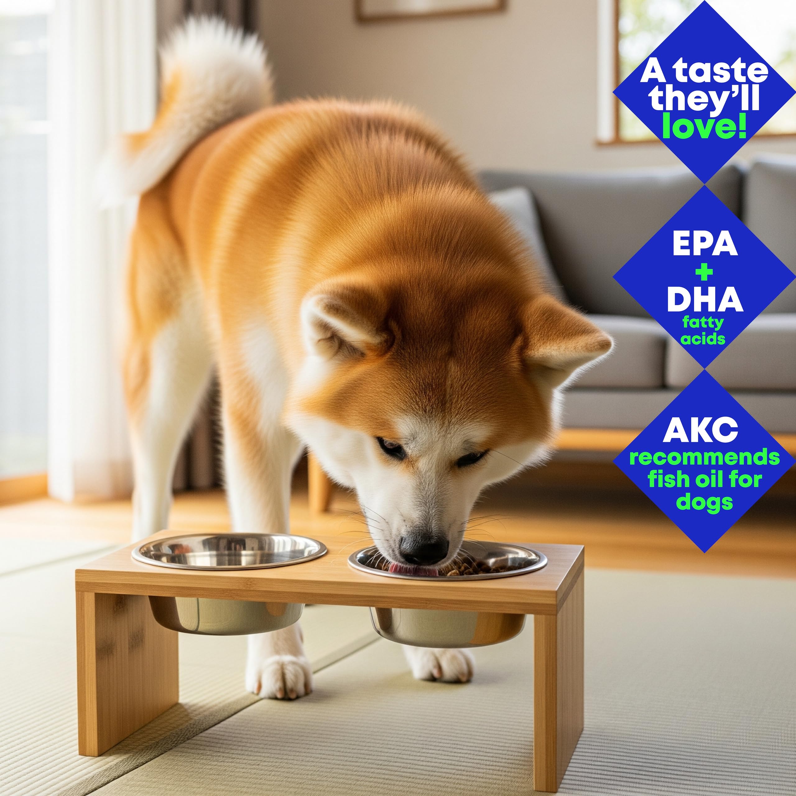 Wild Alaskan Salmon & Pollock Oil for Dogs – Itchy Skin, Shedding, Allergy & Joint Relief – NASC Certified Omega 3s – 16oz Liquid Food Topper – Club Hachiko