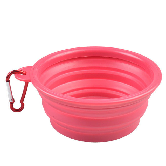 Colorful Pet Bowl